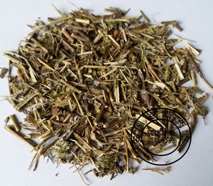 陌生的牛牛淘宝香青兰花卉种子芳香植物景观盆栽香草