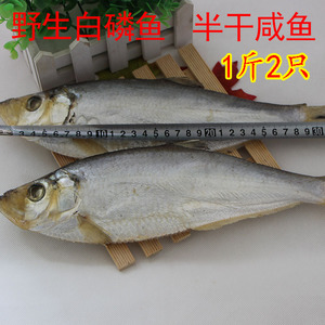 野生海鲜鳓鱼新鲜白鳞鱼鲜活曹白鱼白鳓鱼快鱼包邮1斤2条海鱼