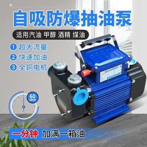 准王抽油泵12V24V220V防爆电动甲醇汽油柴油大流量车载自吸加油泵