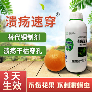 柑橘溃疡沃柑脐橙柚子果树溃疡腐病特效杀菌柑桔溃疡穿孔病专用药