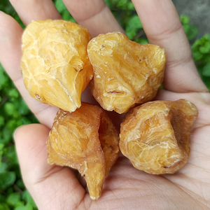 炮天雄中药材 四川特产江油500克天雄扶阳正品天雄散原料