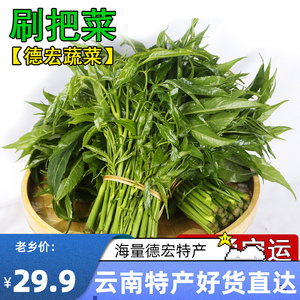 刷把菜云南