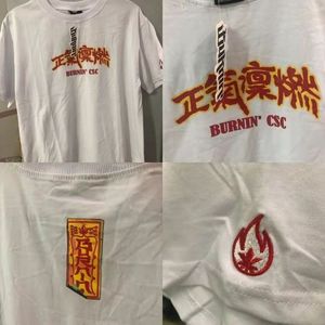 国潮burnin正气凛然火焰刺绣短袖t恤功夫胖纯棉半袖潮槟榔妹方片