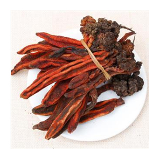 中药材 文王一支笔 500克 红冬蛇菰 鹿仙草蛇菇 不老根 借母怀胎