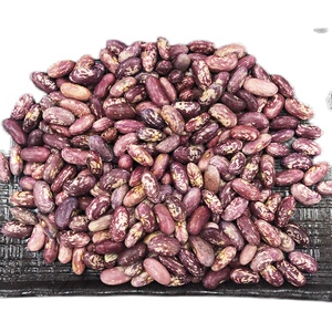 东北花芸豆 饭豆 1500g 包邮