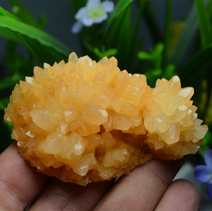 天然菊花钟乳石原矿摆件 钟乳方解石水晶矿物晶体