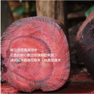 进口珍稀 高品质 巴西花梨木精油10ml 木心蒸馏 紫檀木单方精油