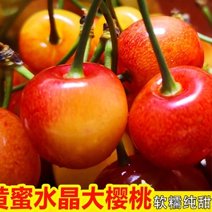 黄水晶樱桃黄车厘子新鲜水果黄樱珠整箱山东大樱桃国产车顺丰3斤