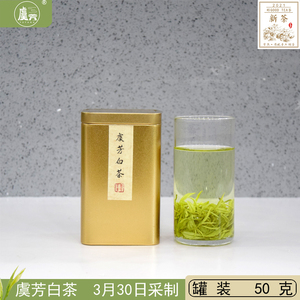 常熟虞芳绿茶2021年新茶叶明前虞山工艺白茶 手工白茶 50克体验装