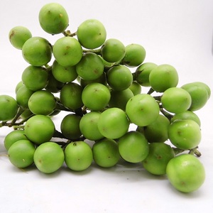 新鲜小苦果 小幼茄 苦茄 苦凉野果 傣家苦果 东南亚菜料 2份包邮