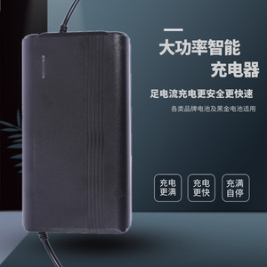 电动车充电器60v58ah安72伏智能脉冲金鹏雅迪三轮电瓶车通用伟宜