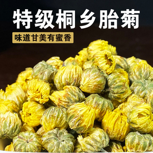 胎菊王特级正品桐乡菊花茶叶杭白菊散装干茶下火清火明目养生茶