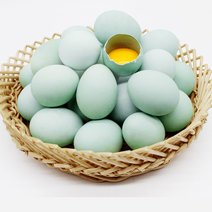 贵州长顺绿壳鸡蛋新鲜土鸡蛋农家散养绿壳蛋谷物草鸡蛋放养初生蛋