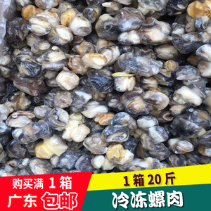 田螺肉 冷冻 福寿螺肉 田螺肉干 下饭菜 冷冻水产螺肉贝壳类