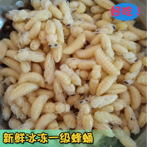 虎头蜂蛹
