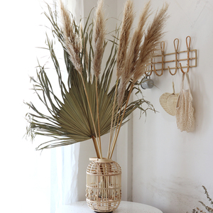 5大芦苇 高杆插花摆件婚礼店铺客厅干花布置