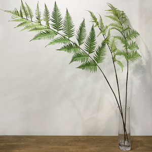 仿真绿植单支金丝猴蕨叶片金毛狗蕨网红植物装饰摄影道具摆件绿植