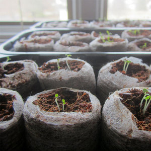 育苗块 压缩椰糠块 通用培养型花草种子 播种营养基质土 扦插介质