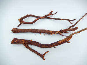 00四叶星云8淘宝果树生根粉橘子葡萄无花果樱桃蓝莓桃树专用生根