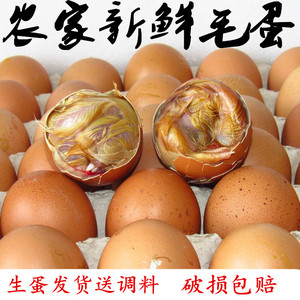 农家当天新鲜毛鸡蛋18-21天全鸡毛蛋生的鸡胚蛋旺鸡蛋喜蛋非活珠