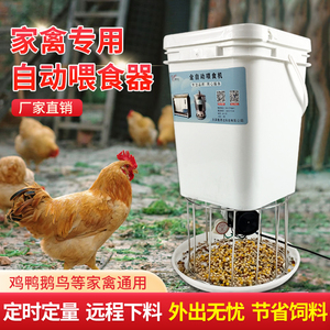 养鸡全自动喂食器鸽子鸭手机远程控制投料机定时电动下漏食槽神器