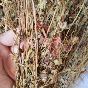 800人付款淘宝天香炉朝天罐 天吊香 仰天盅 小金钟