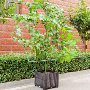 庭院葡萄攀藤架户外立体种植百香果架阳台专用铁线莲月季花爬藤架