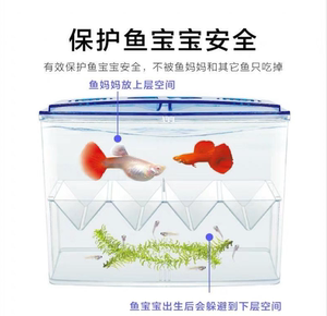 独立隔离盒鱼缸孵化盒孔雀鱼繁殖盒热带鱼小鱼大小号孵化器产卵房