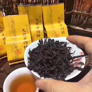 九龙窠肉桂 武夷岩茶大红袍三坑两涧特级正岩花果香足火碳培包邮