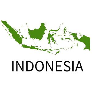 整刀100张 印度尼西亚 印尼1000 新版 女人版 外国纸币钱币