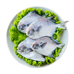 大洋世家舟山鲳鱼新鲜冷冻特产东海海鲜淡水鲳鱼烧烤450g*2袋