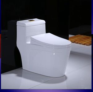 大红鹰dhying家用马桶防臭缓降盖板卫生间抽水坐便器大口径