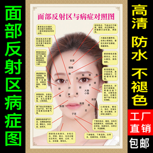 面部反射区与病症对照图中医养生美容院面部护理保养面部经络穴位