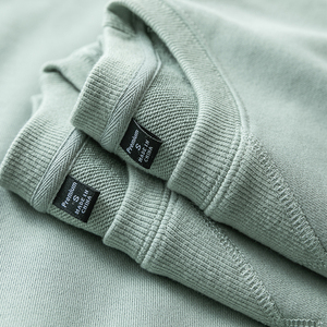 豆沙绿显白340g重磅春秋新款纯棉毛圈布卫衣纯色休闲运动上衣男女