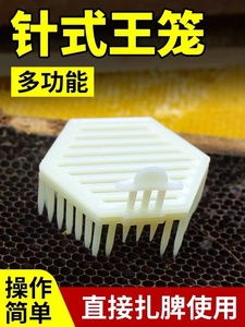 蜜蜂王笼针式多功能塑料中意蜂囚王笼蜂王产卵控制器包邮养蜂工具
