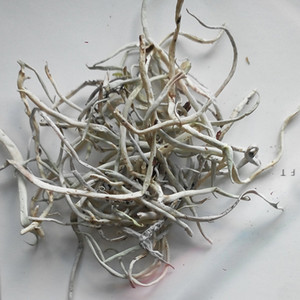 精选香格里拉原生态白雪茶养生茶500克高原雪茶