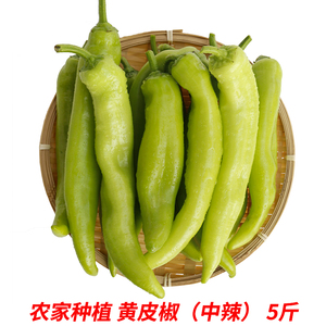 黄皮辣椒