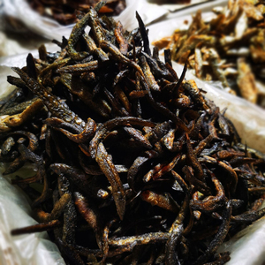 顺丰泥鳅干温州泰顺特产一店纯野生原味油炸下酒伴侣真空包装250g