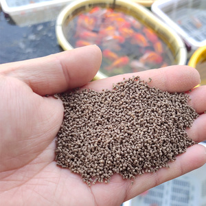 金鱼饲料人工颗粒鱼食渔场自用沉料营养均衡增体增色1消化2斤包邮