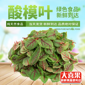 新鲜酸模叶1盒红脉酸膜叶红酸模草酢浆草食用花酒店摆盘装饰点缀