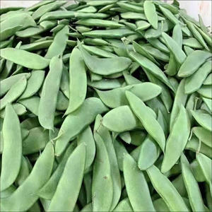 新鲜白玉豆荚现摘江西上饶特产农家蔬菜带壳玉山扁豆京豆夹芸豆荚