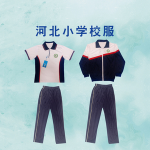 飞腾校服 河北小学 指定面料 中小学冬夏季套装上衣裤子 支持检测