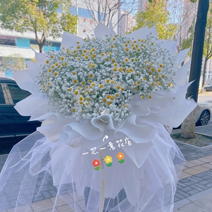 送女友生日鲜花速递浙江金华市义乌市东阳永康满天星花束同城配送