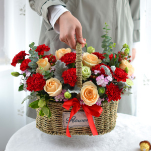 红色康乃馨生日小花篮鲜花速递同城苏州南京杭州常州南通无锡昆山