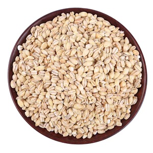 野生大麦仁米去皮5斤五谷杂粮河南农家脱皮小麦仁粥去皮麦子包邮