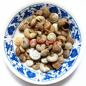 中药材蜗牛壳天螺蛳瓜牛旱蜗牛干货包邮500克