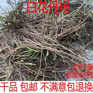 鹭冠旗舰店天猫中药材 白花丹 别名:山坡芩 千里及 一见消 白雪花