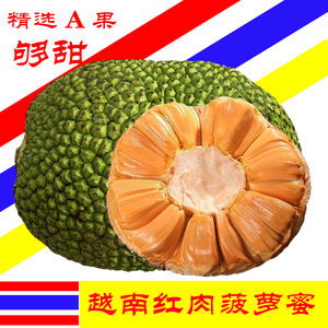 越南进口红肉菠萝蜜8-20斤A果当季新鲜水果红心榴莲香一整个包邮