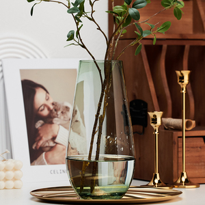 现代简约ins风彩色玻璃花瓶 欧式透明水养插花鲜花瓶客厅家居摆件