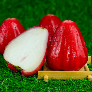 热带水果珍珠莲雾